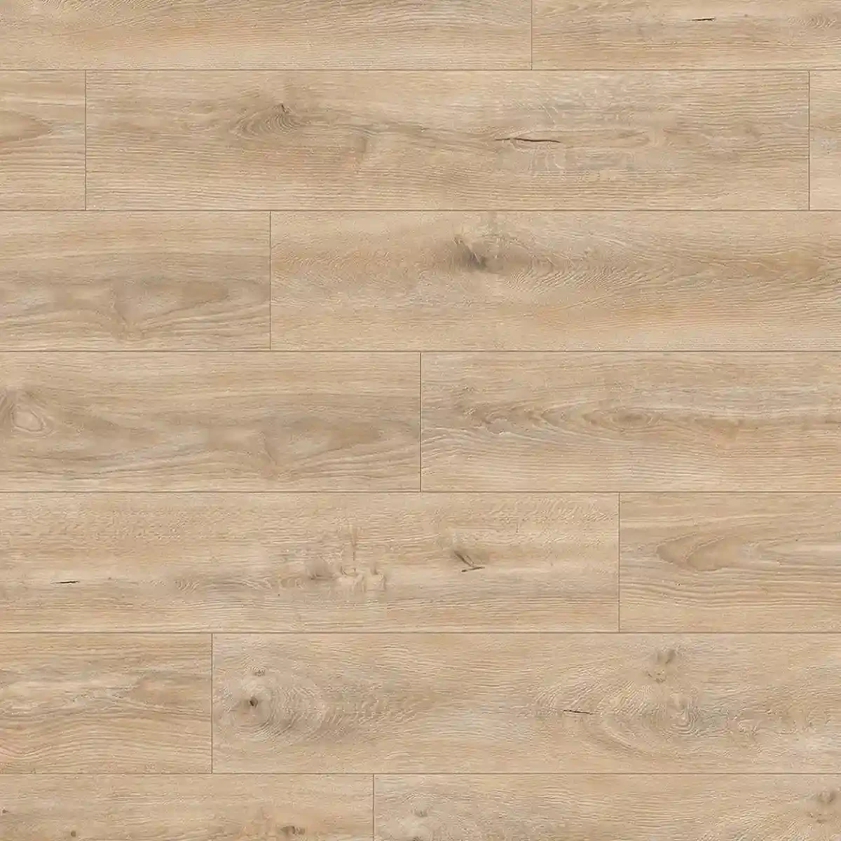 Laminat 12mm K469 – TORTILLA CASHMERE OAK – Sekvoja Podovi